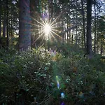 In Mit Grossem Balkon By Interhome Апартаменты