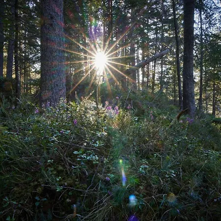 In Mit Grossem Balkon By Interhome Apartment